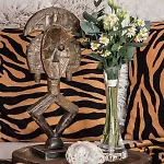 Homestay Africa House Zlin