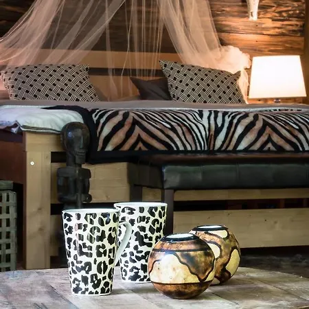 Africa House Homestay *